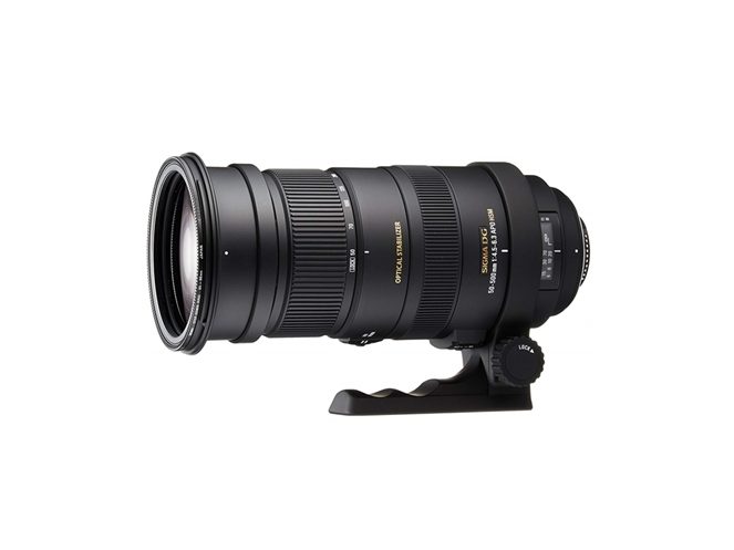 SIGMAシグマ APO 50-500mm F4.5-6.3 (Nikon F）