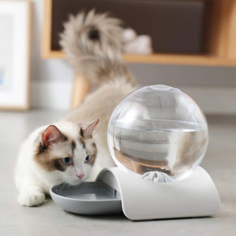 猫用自動給水器のおすすめ人気比較ランキング 猫の水飲みに モノナビ おすすめの家具 家電のランキング