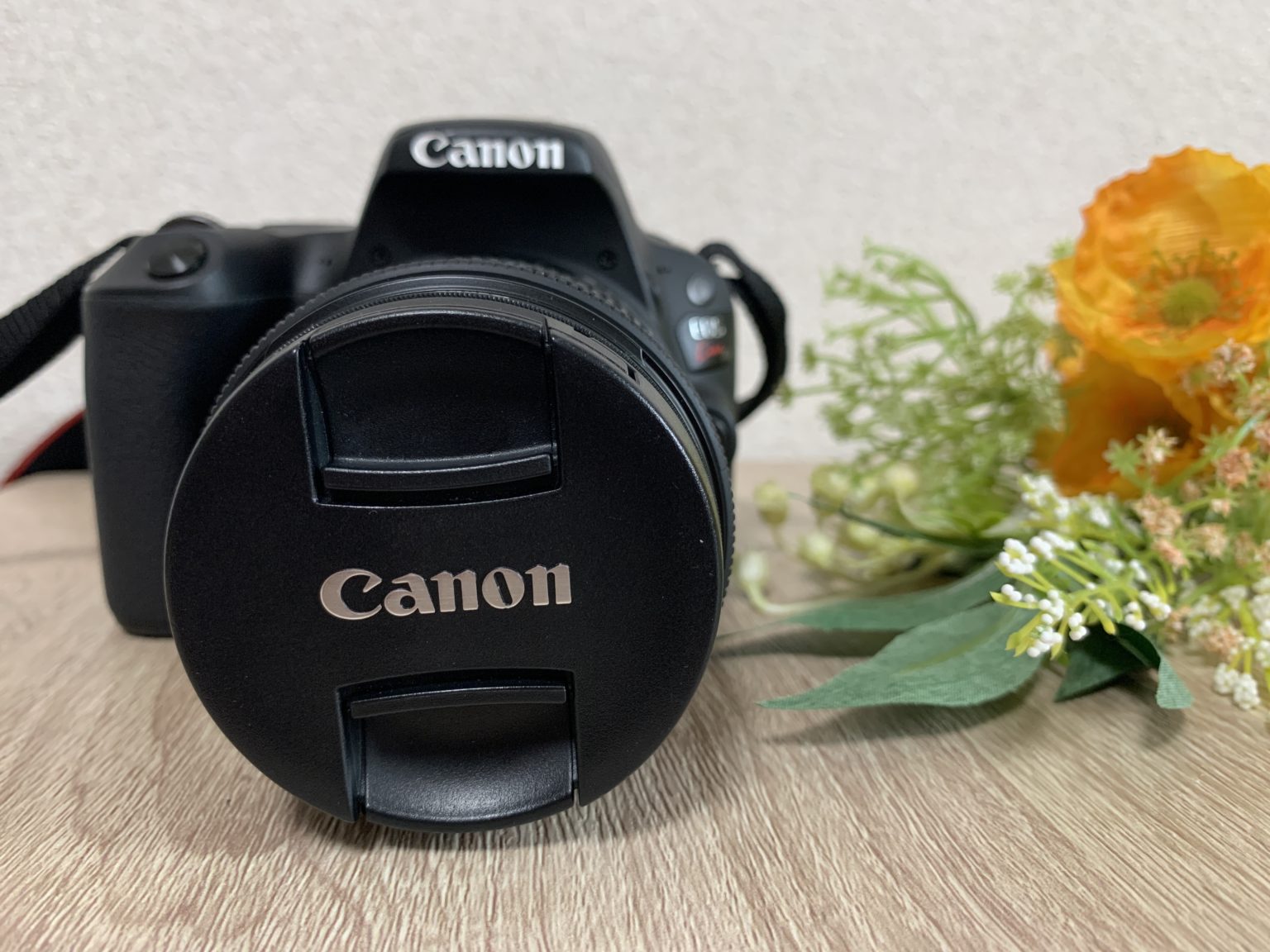 Canon EOS Kiss X9を実写レビュー！動画や写真の作例も【使い方まで】 モノナビ – おすすめの家具・家電のランキング